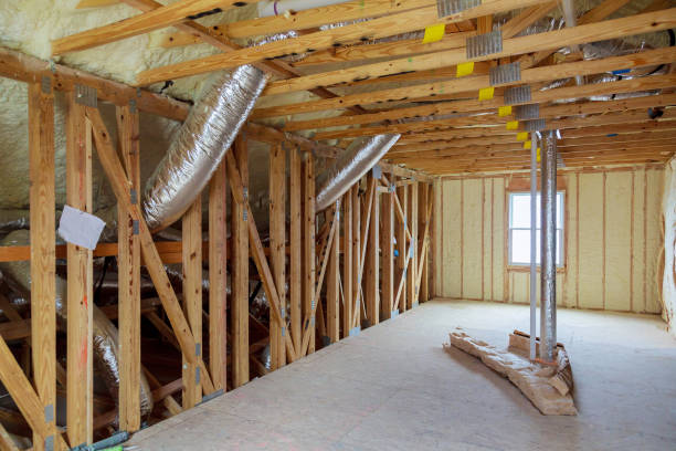 Insulation Inspection Services in Alamo, TX