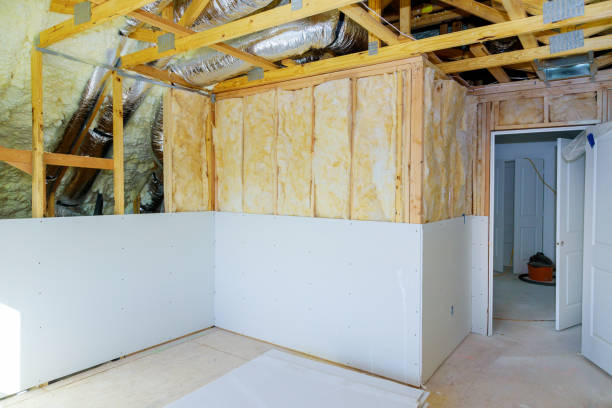 Best Insulation Inspection Services  in Alamo, TX