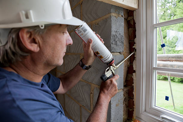 Best Residential Insulation Services  in Alamo, TX