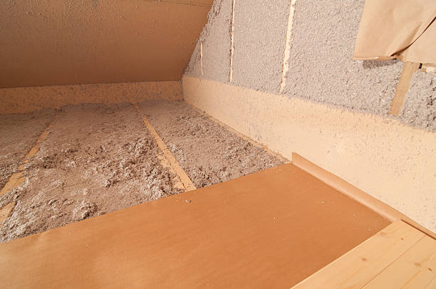 Best Insulation for New Construction  in Alamo, TX